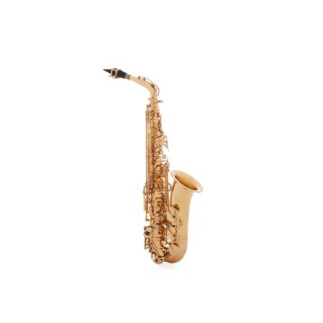 Borgani Royal Winds RAS55 Sax Alto